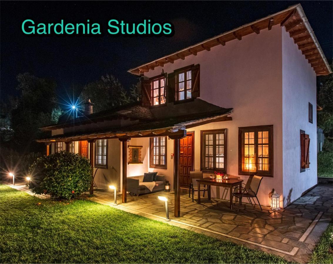 Gardenia Studios Mouresi Exterior foto